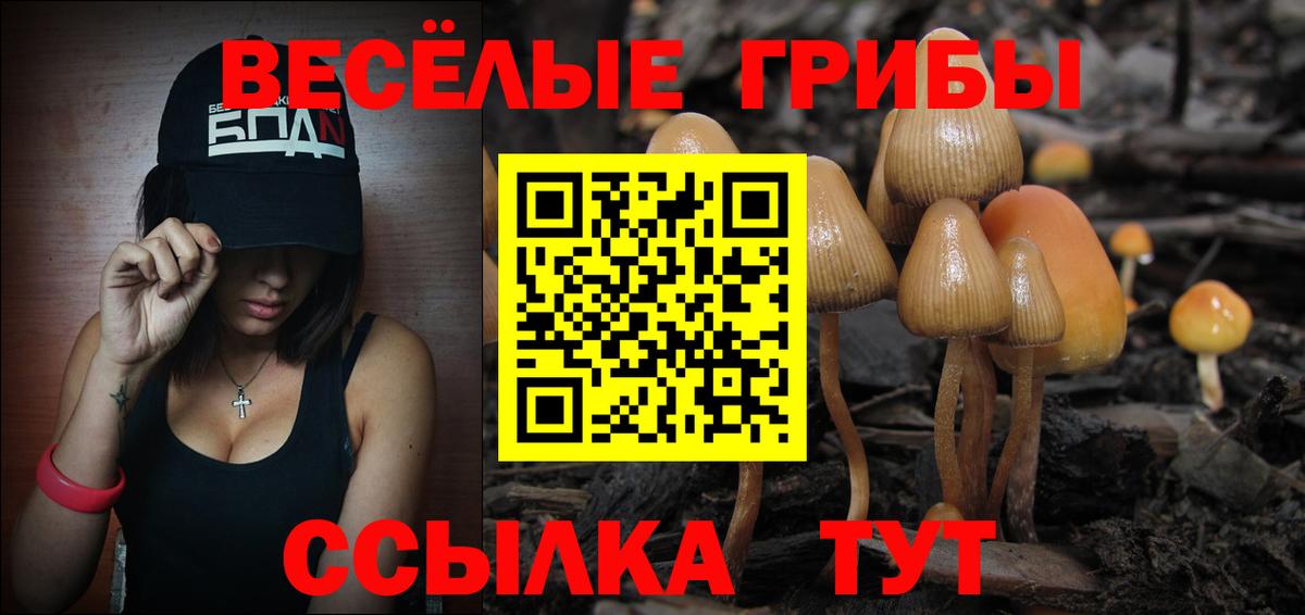 Димитровград  Псилоцибиновые грибы ЛСД  Вход с VPN 